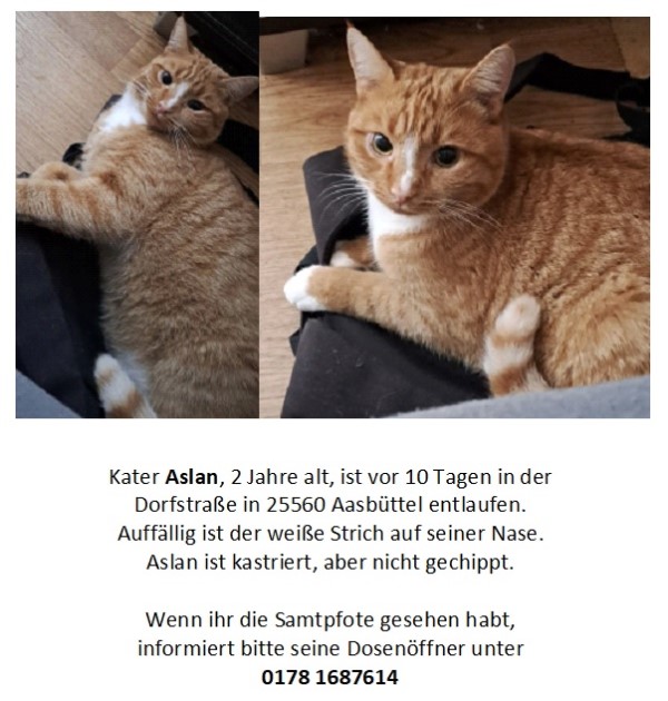 2023-04-27 Aslan